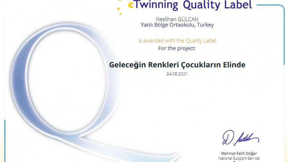 Okulumuz E-Twinning Kalite Etiketi Ödülü Kazandı!